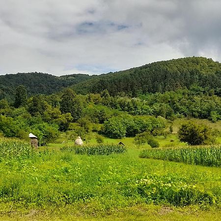 Pensiunea Sanziene Strîmtura エクステリア 写真