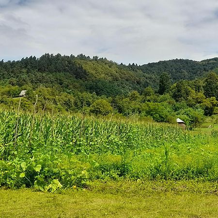 Pensiunea Sanziene Strîmtura エクステリア 写真