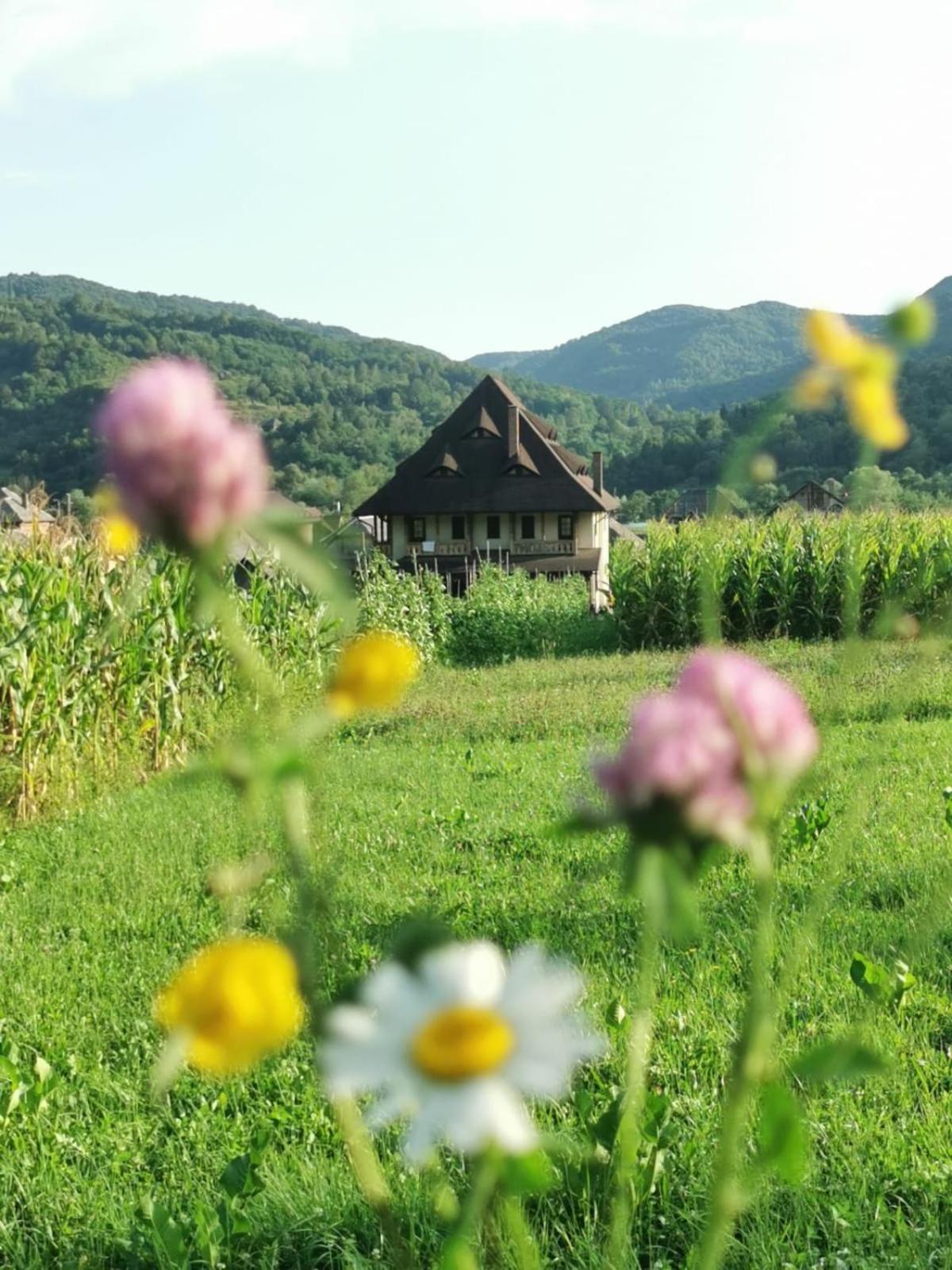 Pensiunea Sanziene Strîmtura エクステリア 写真