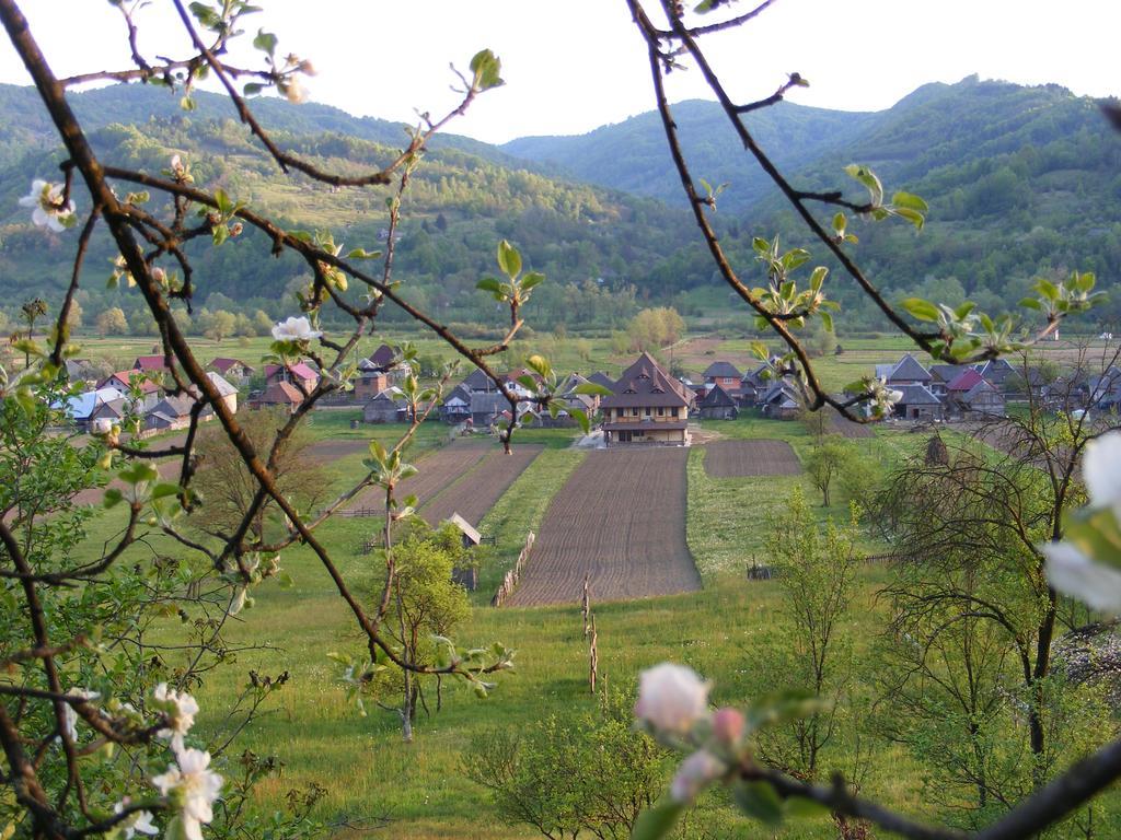 Pensiunea Sanziene Strîmtura エクステリア 写真